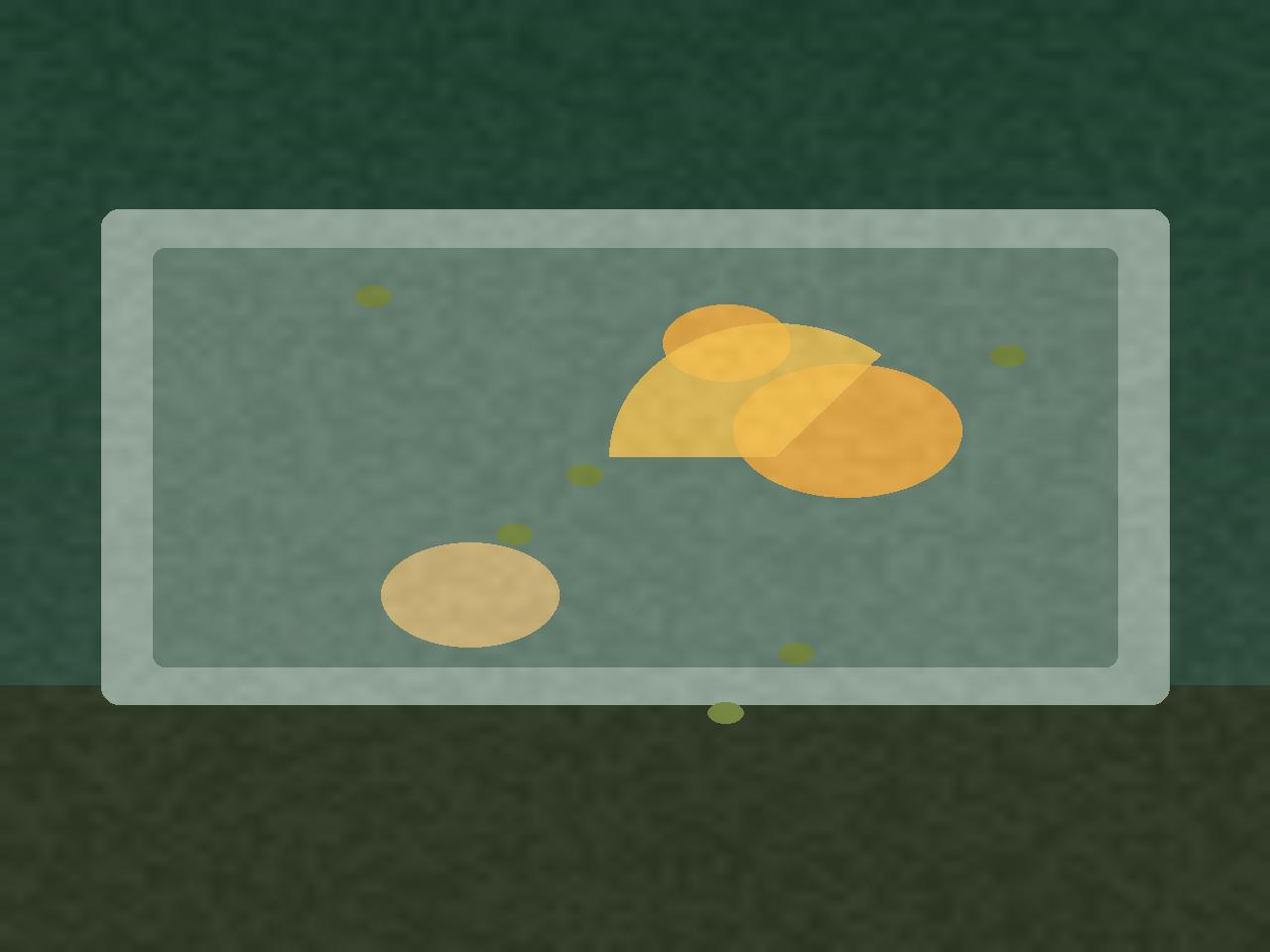 Anise Duck Pot in a griddle